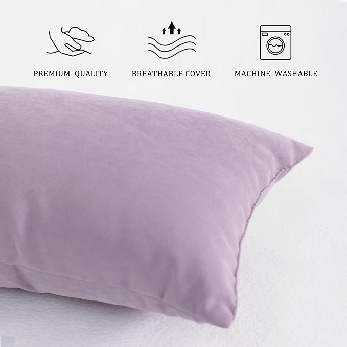 BEDSUM 2 Pack Pillows, 13"x18" Microfiber Pillow for Travel, Pets, Soft and Machine Washable Small Pillows for Neck, Wrist, and Knee Comfort, Lavender