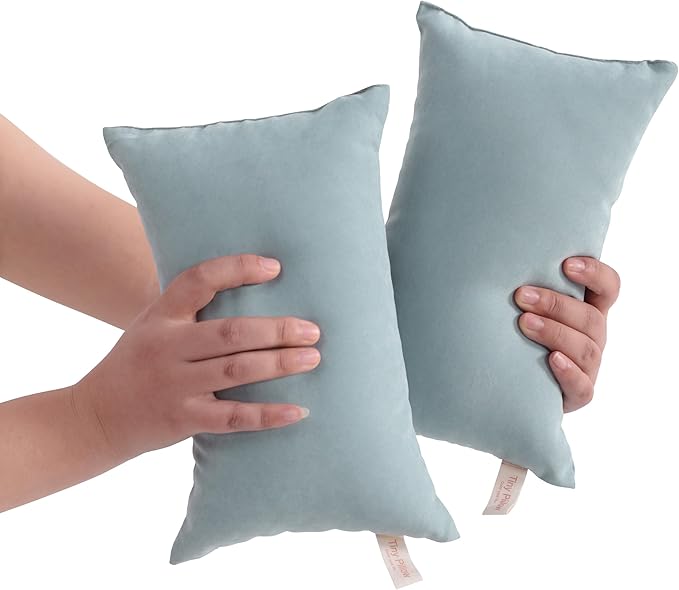 BEDSUM 2 Pack Tiny Pillows, 11"x7" Microfiber Mini Pillow for Toddler, Travel, Pets, Soft and Machine Washable Small Pillows for Neck, Wrist, and Knee Comfort, Sea Green