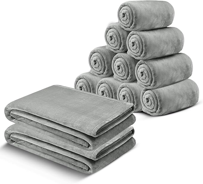 IR Imperial Rooms Fleece Blanket 12 Pack Twin Size 60 x 80 Inches - Soft Fluffy Throw Blanket for Sofa and Bed - Warm and Cozy Lightweight 400 GSM Microfiber Bed Throws Blankets (Twin, Light Grey)