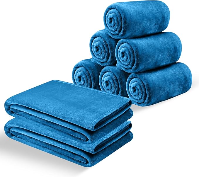 IR Imperial Rooms Fleece Blankets Queen Size 90x90 Inches- 8 Pack - Super Soft Fluffy Throw Blanket for Sofa and Bed - Warm and Cozy Lightweight 400 GSM Microfiber Bed Throws Blankets (Queen, Teal)