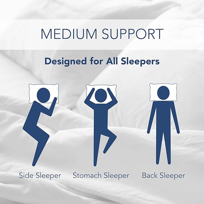 Restful Nights Hotel Collection Down Surround Two Pack Standard/Queen Bed Pillows in White