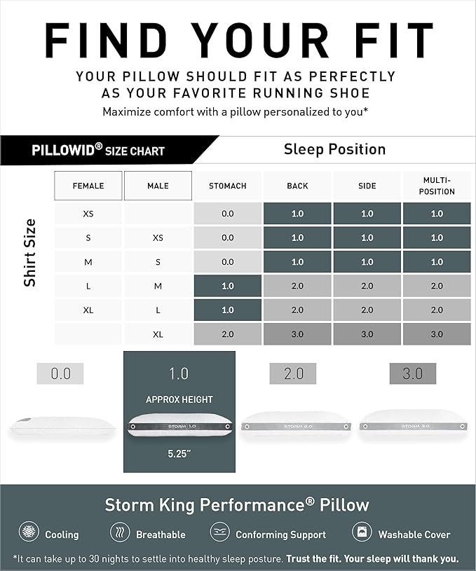 Bedgear Storm Performance Pillow 1.0 – Cooling Bed Pillow for Hot Sleepers, Medium Firm Support for All Sleep Positions – Dual-Sided Comfort, Breathable Air-X Mesh, Washable Ver-Tex Cover, 20” x 36”