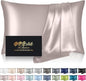 Mulberry Silk Pillow Cases Queen Size, Silk Pillowcase for Hair and Skin, Both Sides Natural Silk Satin Pillowcase for Sleeping Women with Zipper, Gifts for Women Men, Taupe