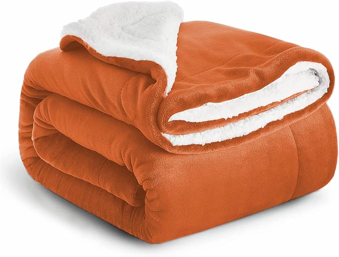 IR Imperial Rooms Sherpa Fleece Throw Blanket Twin Size for Couch - Thick and Warm Fluffy Rust Blankets for Winter, Soft and Fuzzy Twin Blanket for Bed, 60x80 Inches