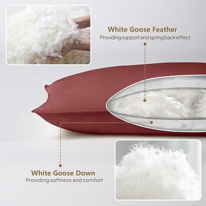 Goose Down Body Pillows for Adults, Large Body Pillow for Side Sleeper, Hugging Feather Body Pillow Insert, Cooling Full Length Long Pillow for Bed with 100% Organic Cotton Shell, (Burgundy 20"x54")
