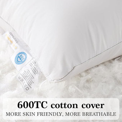 Shilucheng Goose Down Pillow Standard Size Set of 2 Pack,750+ Fill Power Luxury Hotel Quality Bed Feather Pillow for Side Back Stomach Sleepers, Soft 100% Cotton Shell（White,20" x 26"）