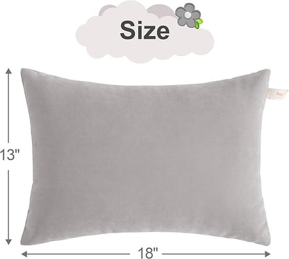 BEDSUM 2 Pack Pillows, 13"x18" Microfiber Pillow for Travel, Pet, Soft and Machine Washable Small Pillows for Neck, Wrist, and Knee Comfort, Light Grey