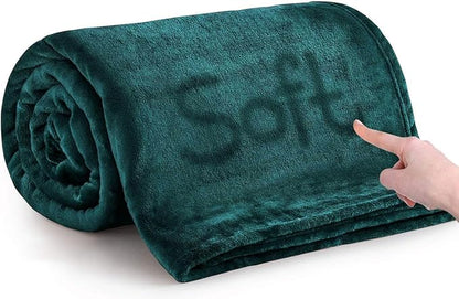 IR Imperial Rooms Fleece Blankets Queen Size 90x90 Inches - Super Soft Fluffy Throw Blanket for Sofa and Bed - Warm and Cozy Lightweight 400 GSM Microfiber Bed Throws Blankets (Queen, Emerald)