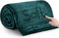 IR Imperial Rooms Fleece Blankets Queen Size 90x90 Inches - Super Soft Fluffy Throw Blanket for Sofa and Bed - Warm and Cozy Lightweight 400 GSM Microfiber Bed Throws Blankets (Queen, Emerald)
