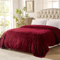 Westinghouse King Size Electric Heating Blanket, 10 Levels, Auto Shut Off, Fast Heating, Machine Washable (King, 100x90 Inches, Wine Red)