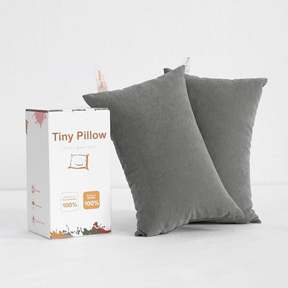 BEDSUM 2 Pack Tiny Pillows, 11"x7" Microfiber Mini Pillow for Travel, Pets, Soft and Machine Washable Small Pillows for Neck, Wrist, and Knee Comfort, Dark Grey
