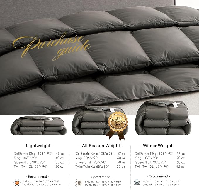 Royoliving Premium Feathers Down Comforter 100% Cotton Cover Duvet Insert with Corner Tabs (Charcoal Grey, King All Season)