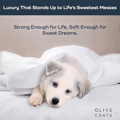 Olive + Crate Tencel Eucalyptus Cooling Duvet Cover Set - Hypoallergenic, Lyocell Tencel Duvet Cover - Soft, Temperature Regulating with Hidden Button Closure & Corner Ties - Queen Size [Ivory]
