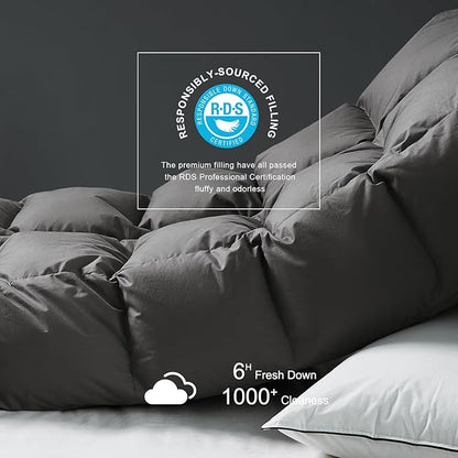 Royoliving Premium Feathers Down Comforter 100% Cotton Cover Duvet Insert with Corner Tabs (Charcoal Grey, Twin Winter)