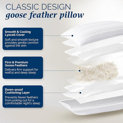 downluxe Goose Feather and Down Pillows - 2 Pack Gusseted Hotel Collection Feather Pillows Set of 2 for Back, Stomach or Side Sleepers, Queen Size (18"x26"x2")