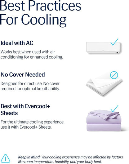 REST® Evercool® Cooling Comforter, Full/Queen, Blanket for Hot Sleepers, All Season Bedding to Keep Cool for Night Sweats, Breathable Lightweight Blanket, 90"x90" Inches, Lavender Breeze