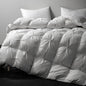 Royoliving Premium Feathers Down Comforter 100% Cotton Cover Duvet Insert with Corner Tabs (White Twisted Flower, King All Season)