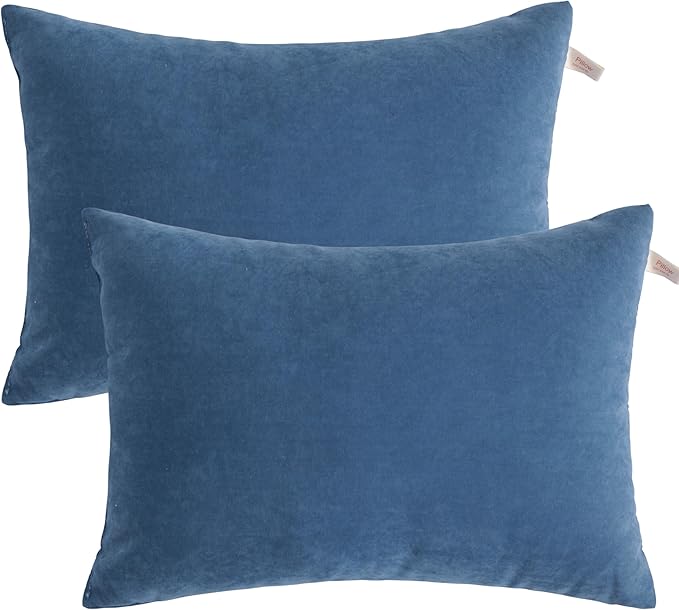 BEDSUM 2 Pack Pillows, 13"x18" Microfiber Pillow for Travel, Pet, Soft and Machine Washable Small Pillows for Neck, Wrist, and Knee Comfort, Denim Blue