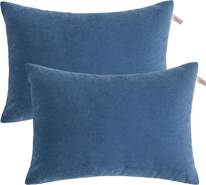 BEDSUM 2 Pack Pillows, 13"x18" Microfiber Pillow for Travel, Pet, Soft and Machine Washable Small Pillows for Neck, Wrist, and Knee Comfort, Denim Blue