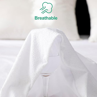 Queen Size Waterproof Mattress Cover, Premium Terry Top Mattress Cover, Breathable, Noiseless, Cooing & Machine-Washable Bed Cover with 21" Deep Pocket