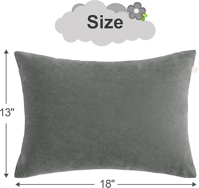 BEDSUM 2 Pack Pillows, 13"x18" Microfiber Pillow for Travel, Pets, Soft and Machine Washable Small Pillows for Neck, Wrist, and Knee Comfort, Dark Grey