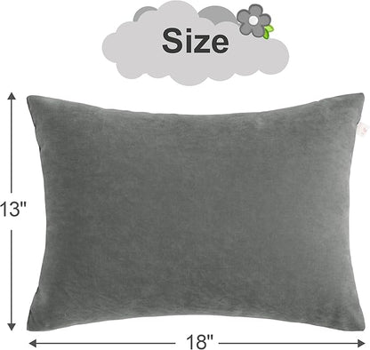BEDSUM 2 Pack Pillows, 13"x18" Microfiber Pillow for Travel, Pets, Soft and Machine Washable Small Pillows for Neck, Wrist, and Knee Comfort, Dark Grey