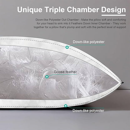 APSMILE Medium Firm Feather Down Pillows Standard Size Set of 2, Luxury Feather Pillow for Sleeping, Organic Cotton Cover Hotel Collection Bed Pillow (White, 20"x26")
