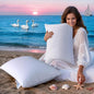 Luxury Goose Feather Down Pillows Standard Size Set of 2, 3-Chamber 5 Star Hotel Pillow for Deep Sleep, Soft Bed Pillows for Neck Pain Relief, Perfect for Side, Back Sleepers - 20"x26"