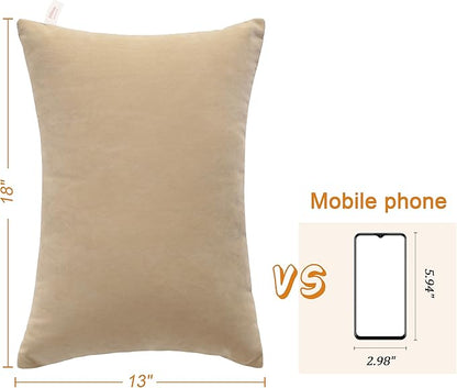 BEDSUM 2 Pack Pillows, 13"x18" Microfiber Pillows for Travel, Pets, Soft and Machine Washable Small Pillow for Neck, Wrist, and Knee Comfort, Taupe