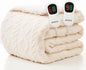 Heated Electric Blanket Queen Size-84"x90" Heating Blanket with 10 Heating Levels & 5 Time Settings Over-Heat Protection，Winter Warmer for Adults with ETL Certification（Cream）