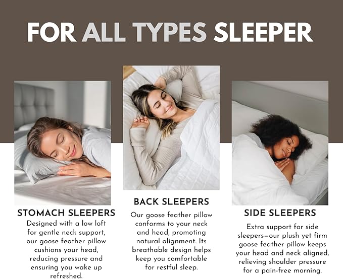 Down Feathers Pillows Standard Size Set of 2- Hotel Collection Bed Pillows | Feather-Proof 1000+ Clean | Naturally Resilient Pure | Pillows for Side, Back & Stomach Sleepers, 20"x36" 2 Pack