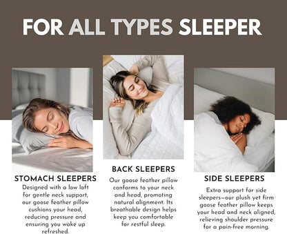 Down Feathers Pillows Standard Size Set of 2- Hotel Collection Bed Pillows | Feather-Proof 1000+ Clean | Naturally Resilient Pure | Pillows for Side, Back & Stomach Sleepers, 20"x36" 2 Pack