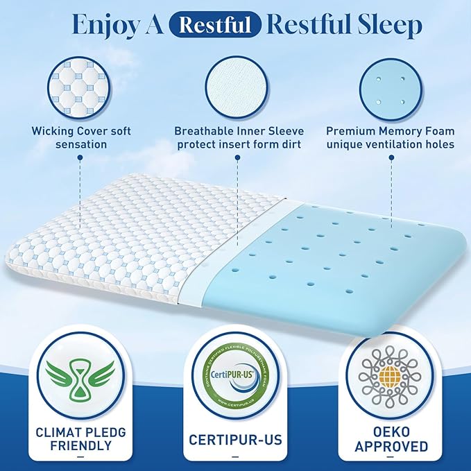 CloudBliss Ultra Slim 2.75” Pillows for Side | Back | Stomach Sleepers, Memory Foam Flat Pillow, Low Profile Sleeper Pillows with Double Sided Comfortable Breathable Pillow Cover, Queen