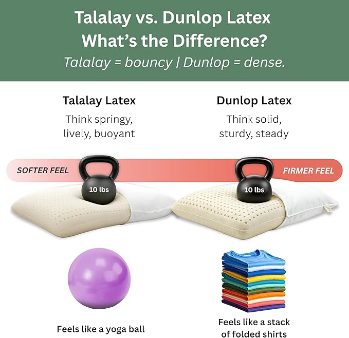 OrganicTextiles Talalay Latex Pillow with Organic Cotton Cover (Queen Size, Medium), GOTS Certified, Bed Pillow for Sleeping, Neck Pain Relief Help, Head Support, for Side Back Stomach Sleeper