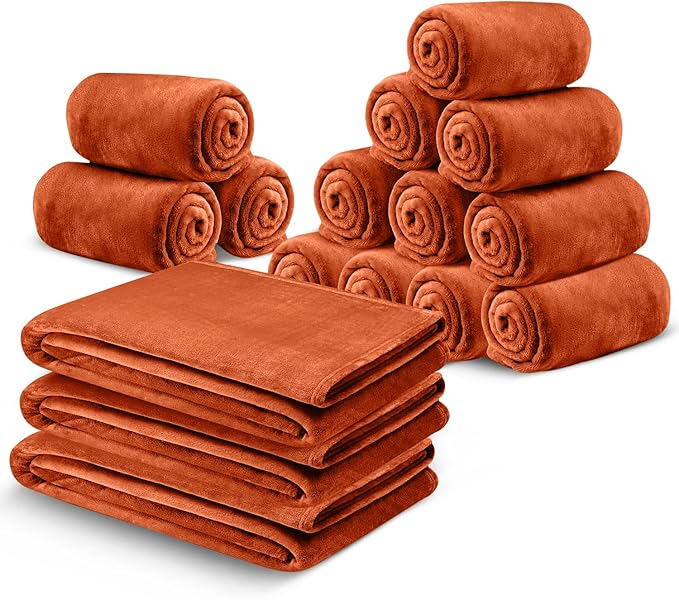 IR Imperial Rooms Fleece Blanket 16 Pack - Super Soft Fluffy Rust Throw Blanket for Sofa and Bed - Warm and Cozy Lightweight 400 GSM Microfiber Bed Throws Blankets, 50x60 Inches (Throw/Travel)