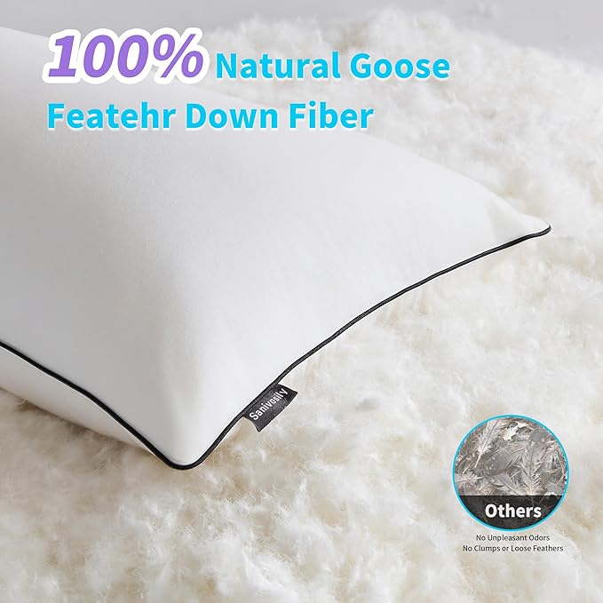 Feather Down Pillow Queen Size Set of 2, 100% Cotton Luxury Hotel Collection Bed Pillows for Sleeping, Down Surrounded Fluffy Soft Medium Firm Pillows for Side Back Stomach Sleepers 20" x 30"