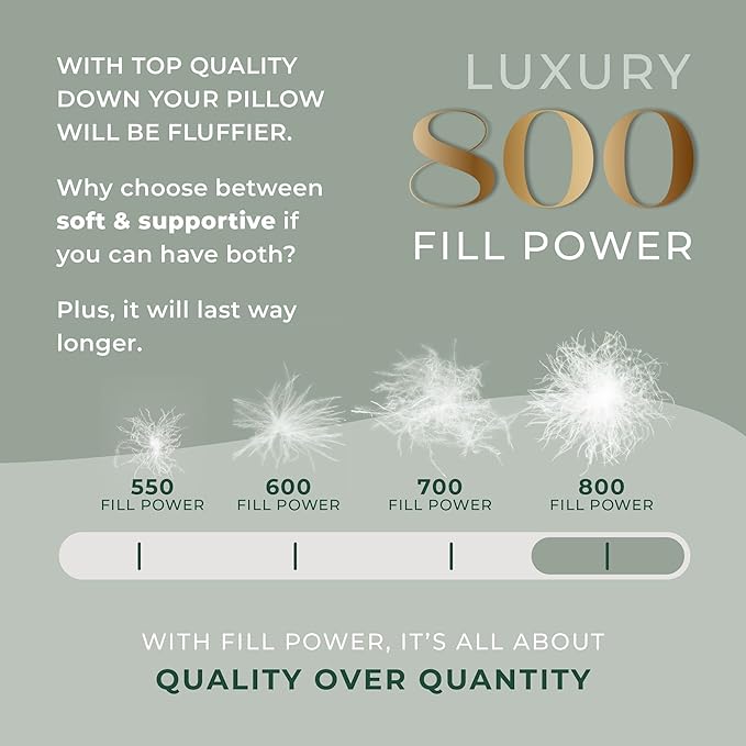 Standard Size Pillow, European Goose Down 800FP - Firm Luxury Hotel Pillow for a Luxury Bed