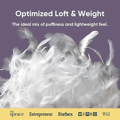 Vesta Hungarian Down Low Loft Pillow, 95% Goose Down Core, Baffle Boxe Design for Optimal Fluffiness, Ideal for Back & Stomach Sleepers, Low to Medium Profile (3.5" Height) & Soft - PlumZen