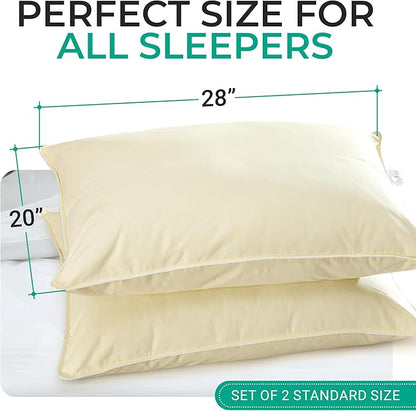 Cheer Collection Set of 2 Organic Kapok Bed Pillows, Natural Kapok Fiber Filled Sleeping Pillows with Breathable Cotton Shell, Standard Size, 20 x 28 inches