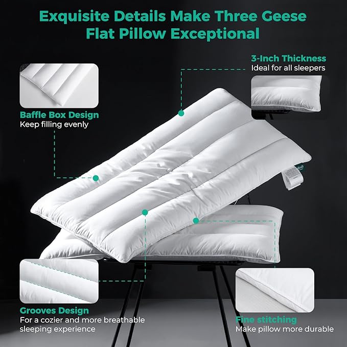 Three Geese Luxury Thin Flat Goose Feather Down Pillows King Size Set of 2, 3" Height, 100% Cotton Cover, Medium Firm Hotel Collection Ultra Slim Thin Bed Pillows, Machine Washable, 18 x 36 Inches