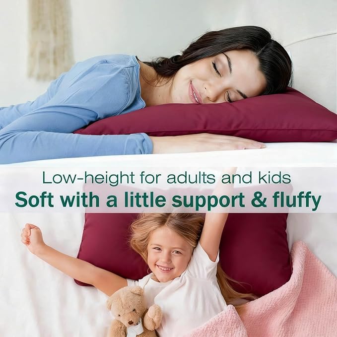 Flat Ultra Thin Bed Pillows Standard Size Pillow Set of 2 Extra Soft Down Alternative for Stomach Side Back Sleeper Burgundy 20x26inches