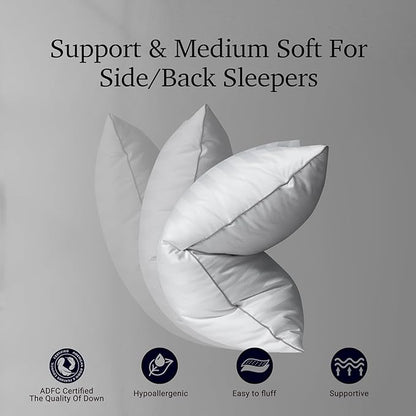 Hotel Grand Softy-Around Feather Down Pillows Queen Size Set of 2 Packs White Strip 100% Cotton Fabric Bed Pillows for All Position Sleepers,28"x20"/2 Packs