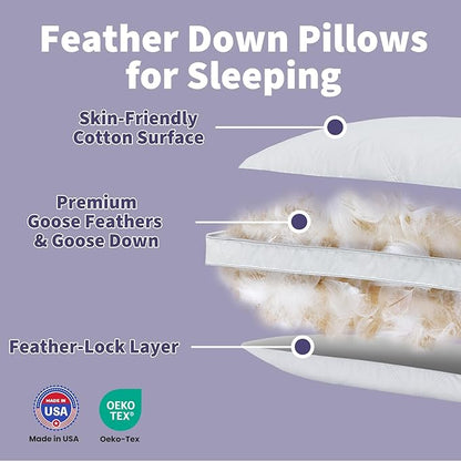 Dreamhood Luxury Goose Feather Down Pillow Queen Size Set of 2 - Made in USA Gusseted Hotel Bed Pillows with Premium 500 TC Cotton, Medium Firm Feather Down Pillow for Back