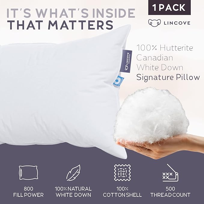 Lincove Signature 100% Canadian White Down Pillow - Luxury Sleeping Pillow for Back, Stomach & Side Sleepers - 800 Fill Power Bed Pillow, 500 Thread Count, Made in Canada, Standard - Firm, 1 Pack