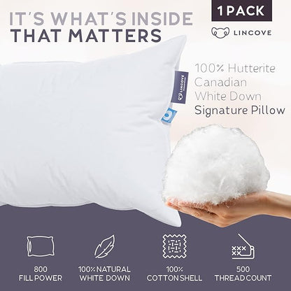 Lincove Signature 100% Natural Canadian White Down Pillow - Luxury Sleeping Pillow for Back, Stomach & Side Sleepers - 800 Fill Power Bed Pillow, 500 Thread Count, Made in Canada, King - Firm, 1 Pack