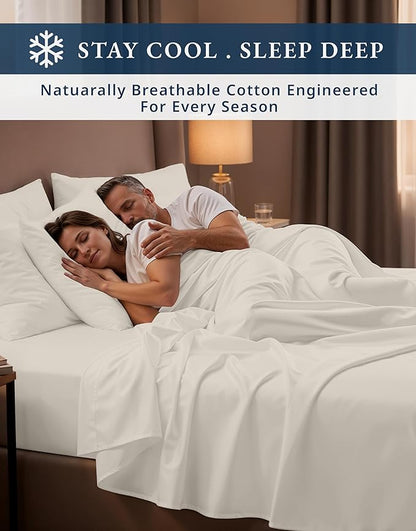LANE LINEN Luxury 100% Egyptian Cotton Sheets Queen Size Bed Set, Eo Friendly Oeko-Tex Certified No Pill Fade Resistant Fully Elasticized Machine Washable Cotton Cooling Bed Sheet -Sea Salt
