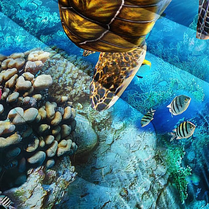 CVHOUSE Sea Turtle Comforter Set,Ocean Sea Turtle Bedding Set for Kids Teens,Ocean Sea Turtle Comforter Sea Turtle Duvet Set Room Decor Quilt Set Queen Size