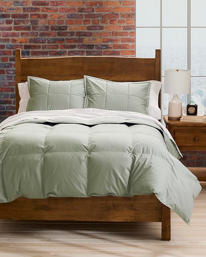 Cuddledown Chroma Comforter Sham | Soft, Lightweight | Oeko-TEX Standard 100 | Standard | 21" x 27" | Meadow