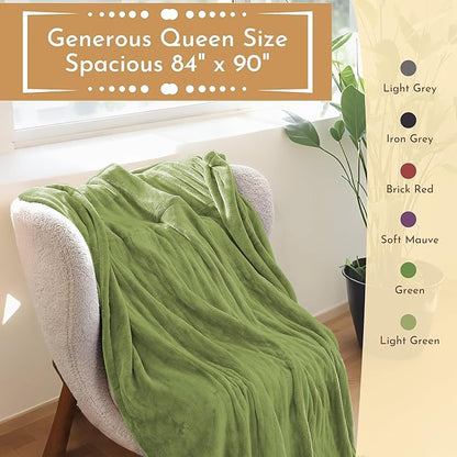Electric Heated Blanket 84"x90" Queen Size Microplush Cover Blanket, 4 Heat Settings & 10 Hours Auto Off, Cozy & Warm for All Night, Machine Washable, Green