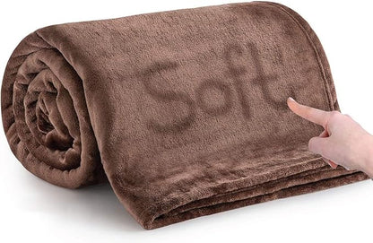IR Imperial Rooms Fleece Blankets Queen Size 90x90 Inches - Super Soft Fluffy Throw Blanket for Sofa and Bed - Warm and Cozy Lightweight 400 GSM Microfiber Bed Throws Blankets (Queen, Coffee)
